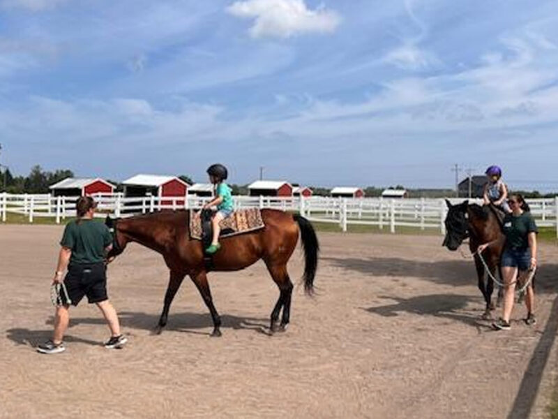 a child riding a horse with parents